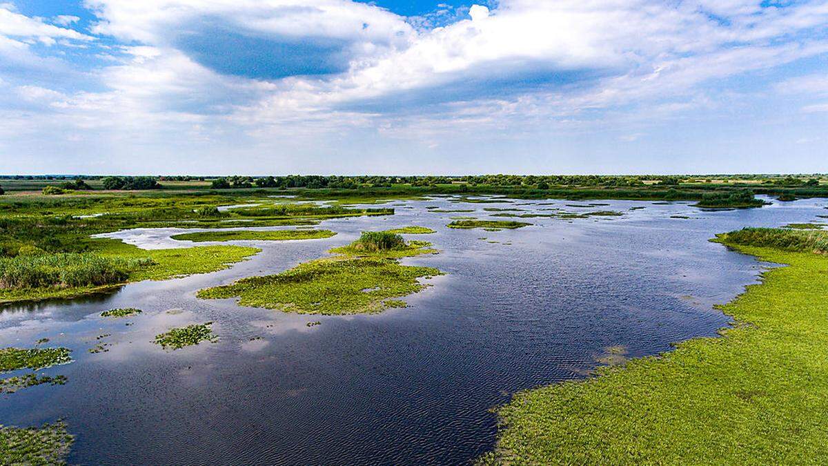 Die Donau als Grenze des römischen Reiches