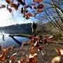 Eine Spaziergängerin wandert am 28. Januar 2024 um den Hellsee bei Lanke in Brandenburg. Foto: Krauthöfer Wanderung um den Hellsee *** A walker hikes around the Hellsee lake near Lanke in Brandenburg on January 28, 2024 Photo Krauthöfer Hike around the Hellsee lake