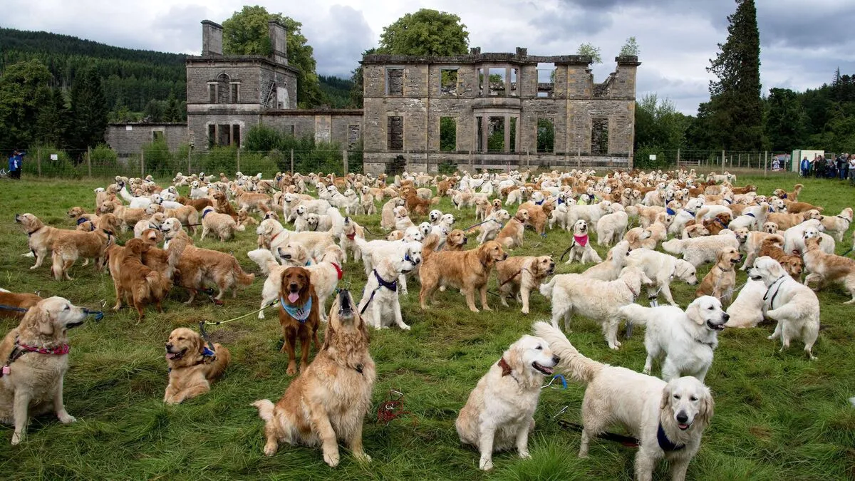 Flauschiges Familientreffen vor malerischer Kulisse
