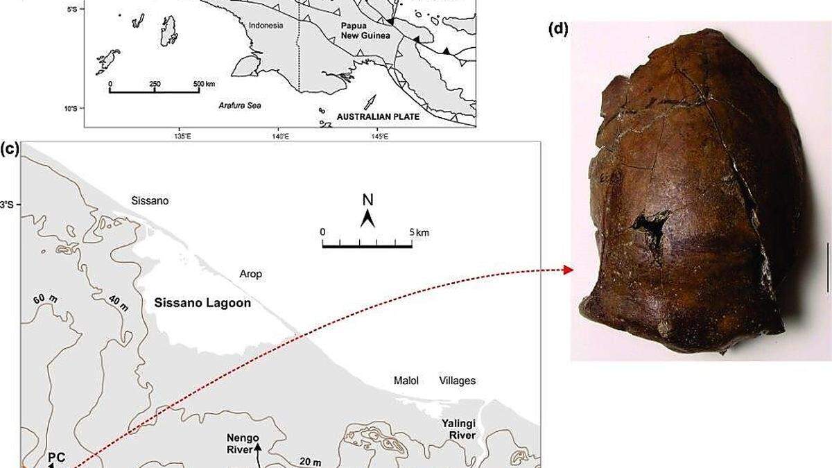 Skizze vom Fundort mit dem Schädelrest im Journal &quot;Plos One&quot;