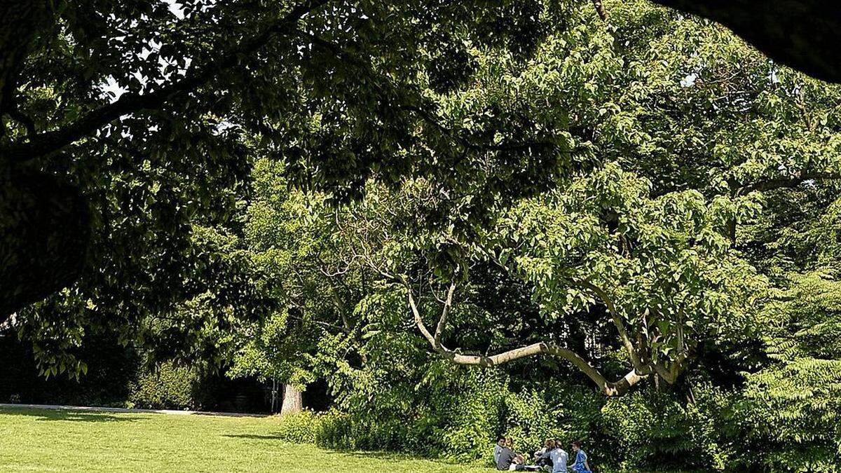 Kinder wurden in Park in Wien belästigt (Themenbild)