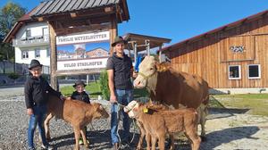 Die Enkerl und der Sohn von Landwirt Werner Wetzelhütter: Lukas und Paul mit Papa Andreas, der Mutterkuh Frieda und den Drillingen