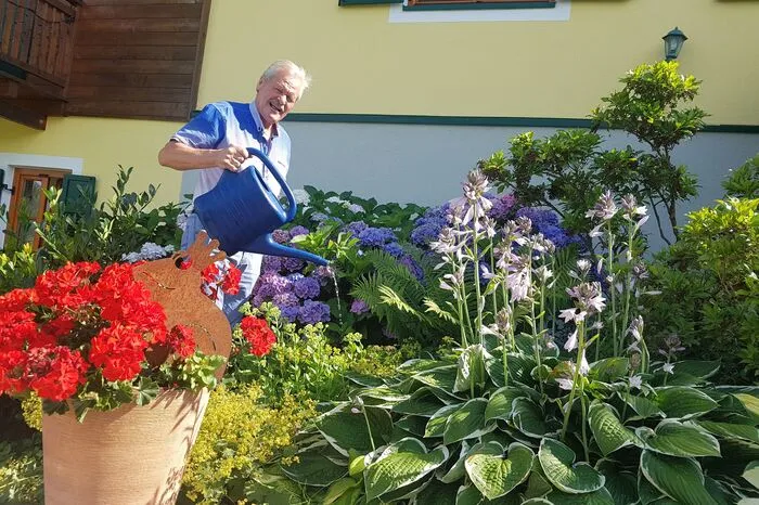 Blumenmeer bei Familie Ronner-Ermertz in Fehring.