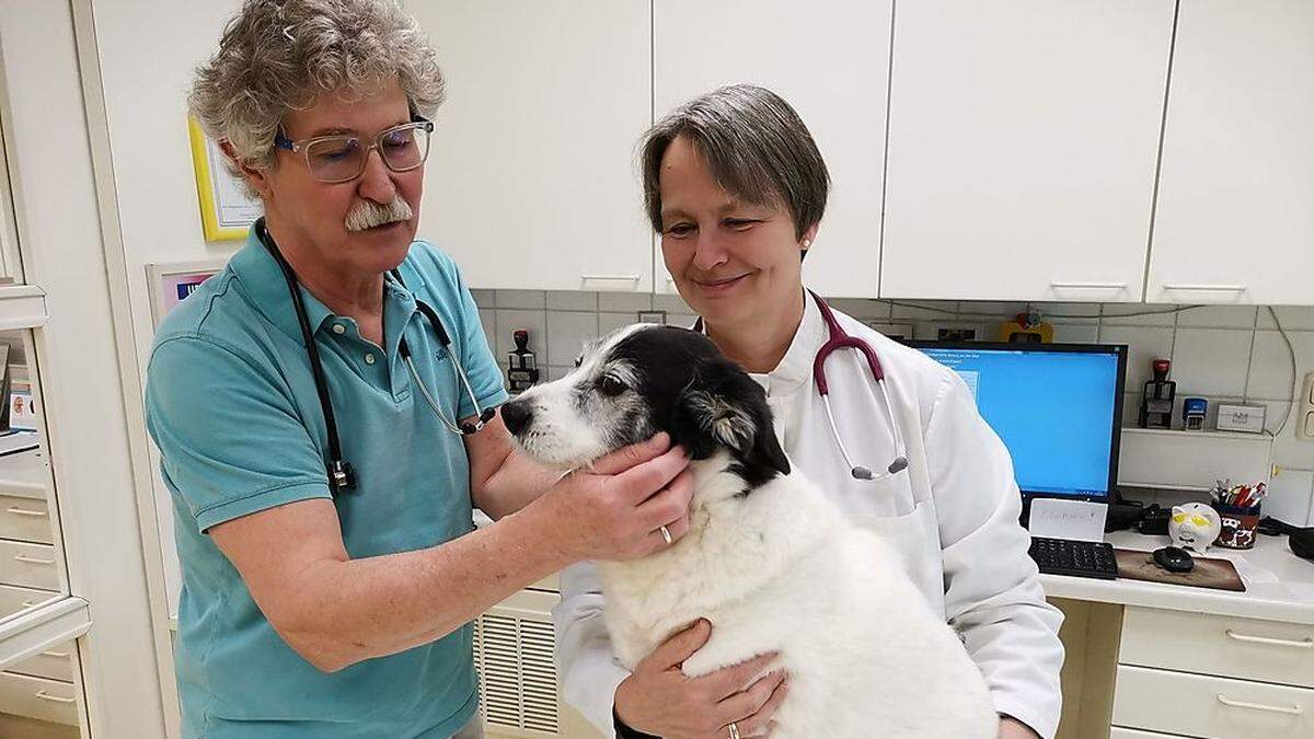 Ganzheitliche Tiermedizin steht bei Angelika und Ewald Köppel seit beinahe 20 Jahren im Fokus