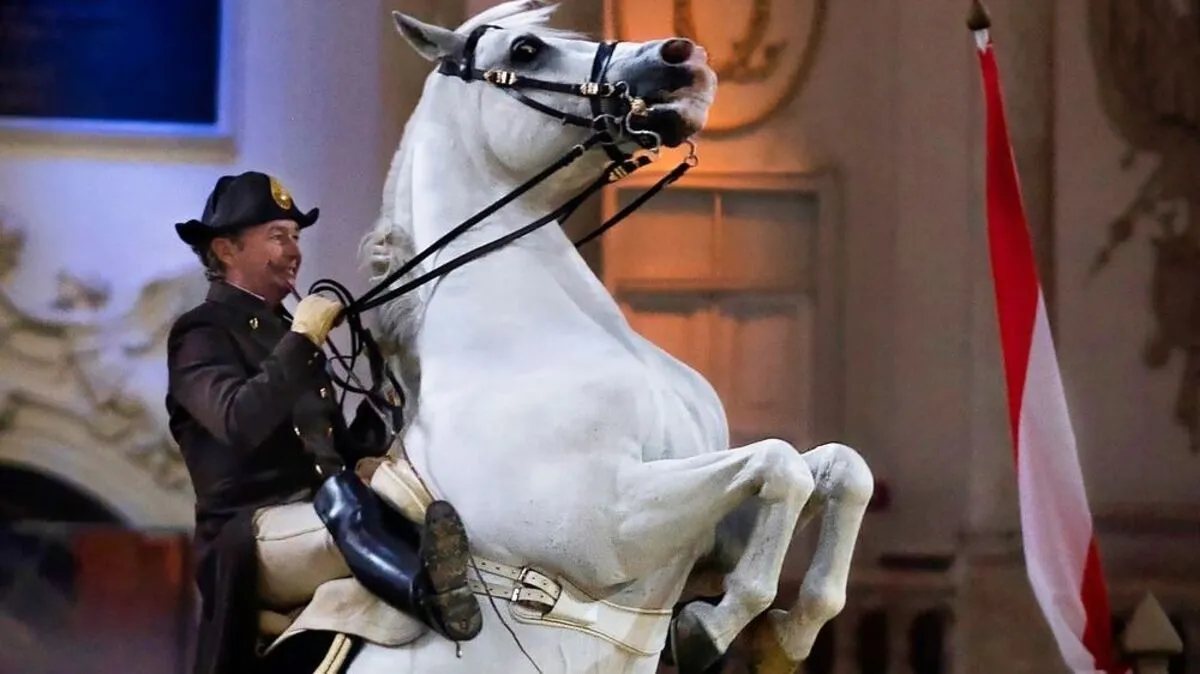 Die Stars der Wiener Hofreitschule werden am 11. September in Piber zu sehen sein