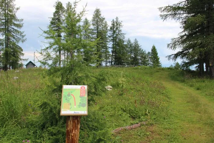 Mit einem Panoramablick geht es sodann zur ersten Station, wo es einen Eisenkorb mit einer Frisbee-Scheibe zu treffen gilt.