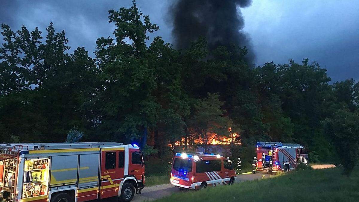 Brand in den Murauen