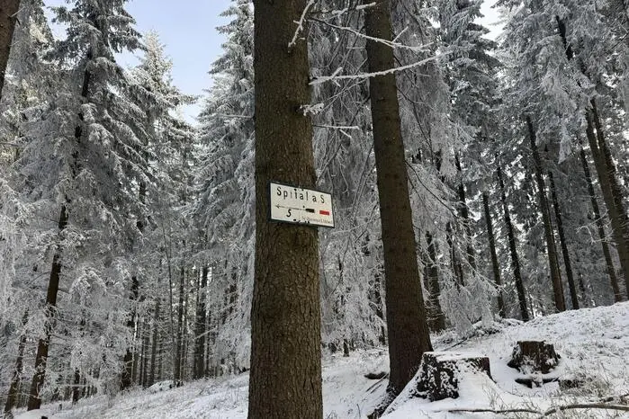 Wer nicht den gleichen Weg zurück gehen möchte, kann den Abstieg auch über den Pfaffensattel oder Steinhaus wählen