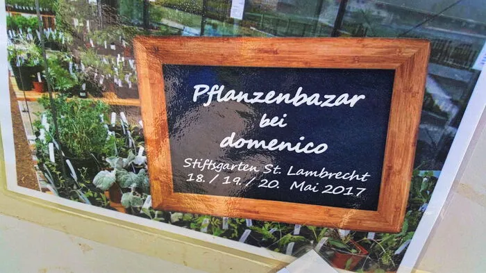 Groß war der Andrang beim Pflanzenbasar in St. Lambrecht.