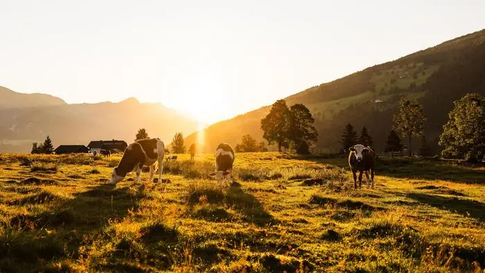 Eine Alm bei Sonnenuntergang