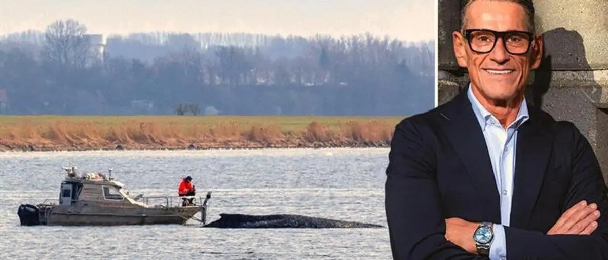 Klaus Leutgeb möchte dem Wal unbedingt helfen | Klaus Leutgeb möchte dem Wal unbedingt helfen