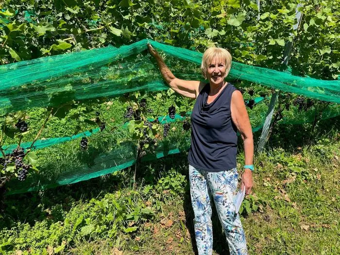 Ernestine Berger von der Grafenbergerin bringt ihre ausgezeichneten Kärntner Weine nach Spittal und gibt persönliche Einblicke in ihre Arbeit