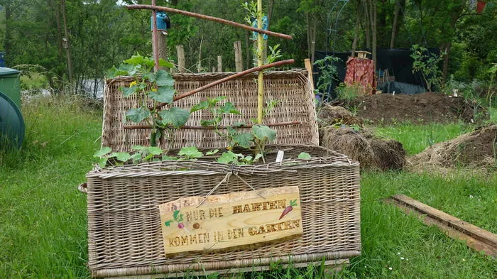 Klicken Sie sich durch die Fotos vom GemeinschaftsLehrGarten in Rosental an der Kainach.