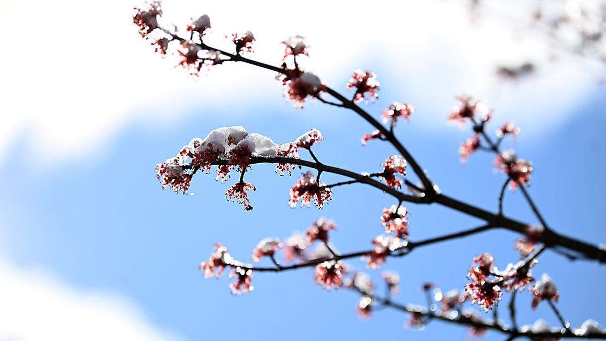 Trotz Sonne bleibt am Donnerstag in Oberkärnten frisch