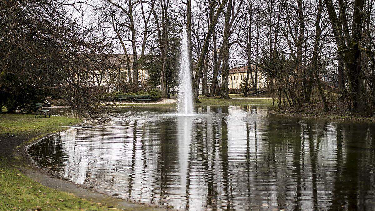 Auch am Fischlteich trieben tote Fische