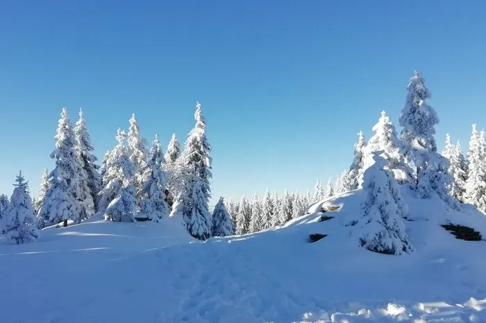 Fischbach im Schnee I.