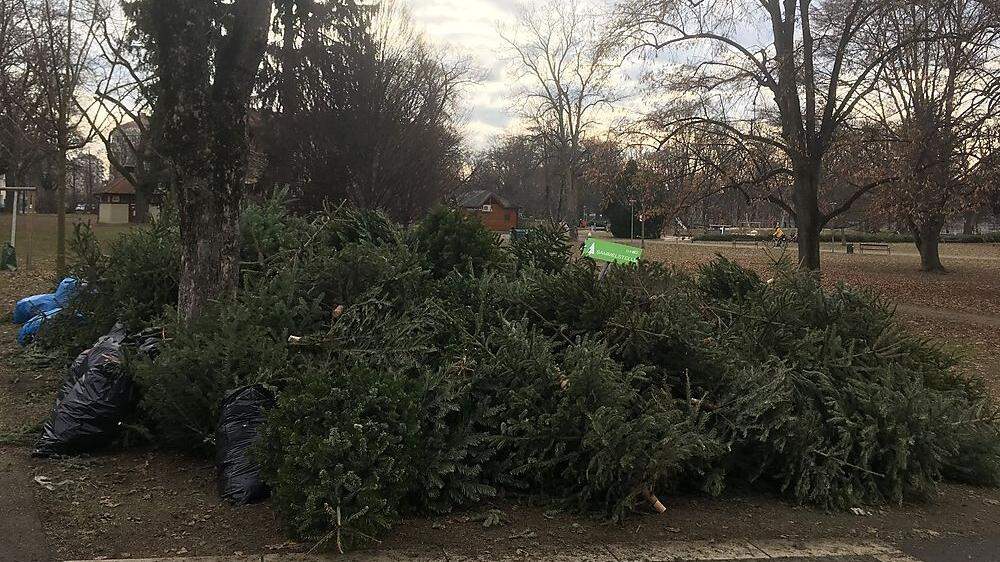 Was von Weihnachten übrig bleibt: Die Christbaum-Sammelstelle am Augarten ist noch stummer Zeuge davon