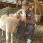 Marius Treffner veranstaltet mit dem Schaf- und Ziegenzuchtverband Kärnten den Internationalen Tag des Schafes und der Ziege 