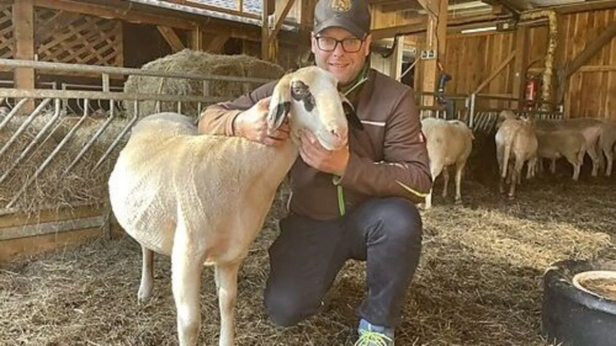 Marius Treffner veranstaltet mit dem Schaf- und Ziegenzuchtverband Kärnten den Internationalen Tag des Schafes und der Ziege 