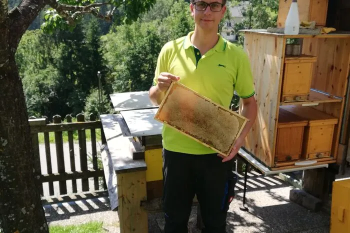 Die Bienen der vier Stöcke von Alexander Mitterer sind fleißig. Das Wissen darum hat er von seinem Großvater gelernt und damit lässt sich offenbar hervorragender Honig machen. Nach zwei Silbermedaillen bei der Kärntner Honigprämierung gab es jetzt in Wieselburg Gold. 
