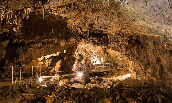 Die Grotte wurde erst 1950 durch Zufall entdeckt