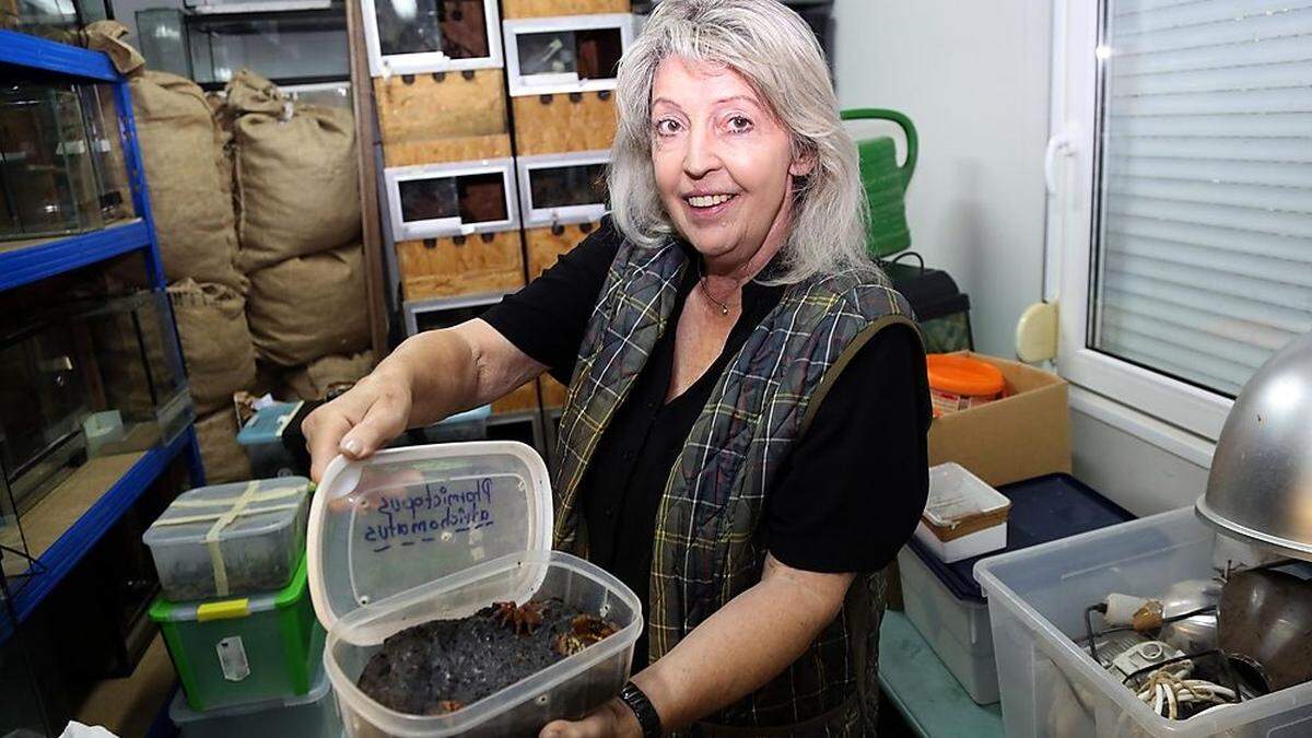 Helga Happ mit einer der drei Vogelspinnen im Originalbehältnis