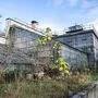 Die historischen Gewächshäuser im Botanischen Garten stehen seit 2008 unter Denkmalschutz