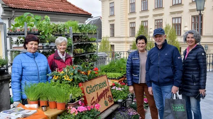 Klicken Sie sich durch die Fotos!