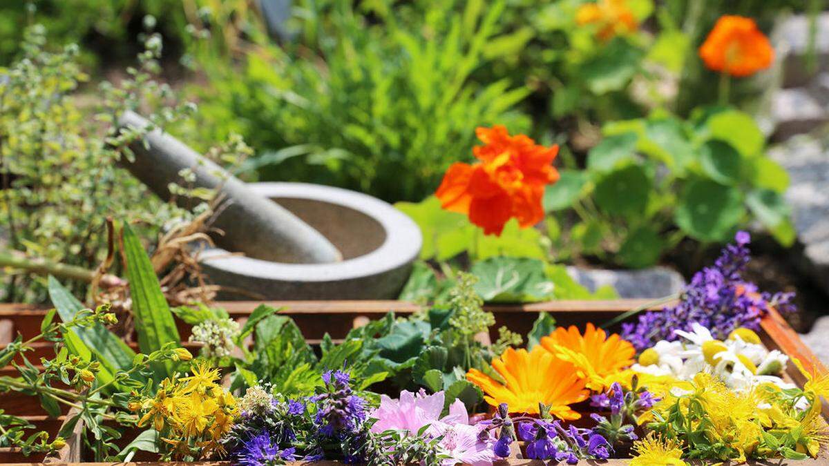 Wieviel Schönheit und Gesundheit in einem Garten wächst, kann man am Samstag in Eberstein sehen