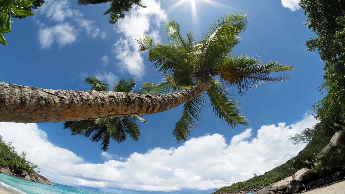 Traumbilder selbst gemacht? Die Grazer Fotoschule weiß, was du brauchst
