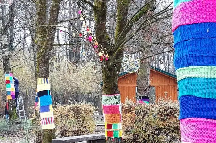 Bunt treiben es die Bäume im Hans Keber Park.