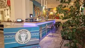 Alpoke in Graz: Bunte Alpaka-Graffiti und schnelles, gesundes Essen