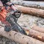 Schwerer Unfall bei der Forstarbeit