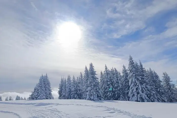 „Über Nacht hatte es Neuschnee gegeben und die Landschaft in ein absolutes Winterwunderland verwandelt.“