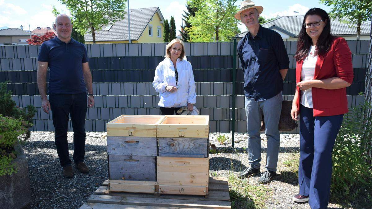 Auch Bienen sind auf dem Messe-Areal eingezogen: Kärntner-Messen-Geschäftsführer Bernhard Erler, Eva Krüll-Koren (Stadtbienen Klagenfurt), Klaus Krainer (Arge Naturschutz) und Sara Schaar (SPÖ) (von links)