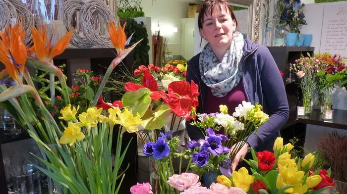 Frühlingsblumen sind begehrte Valentinstagsgeschenke