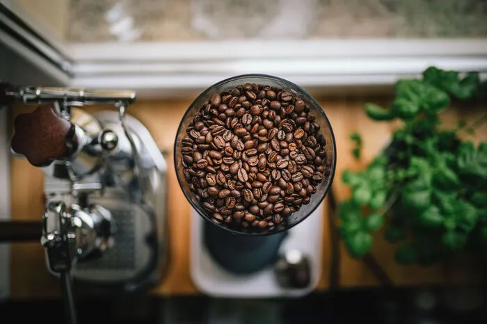 Dunkelheit. Da Licht und Wärme große Feinde des Kaffeearomas sind, ist eine dunkle und kühle Lagerung das Um und Auf. Der geeignete Ort ist trocken und dunkel und die Bohnen bekommen kein direktes Sonnenlicht ab. Der Kühlschrank stellt allerdings nicht die beste Lösung dar. Kaffee ist nämlich dafür bekannt, die Gerüche seiner Umgebung aufzunehmen. Und wer hat schon Lust auf Kaffee, der die Note anderer Lebensmittel hat?