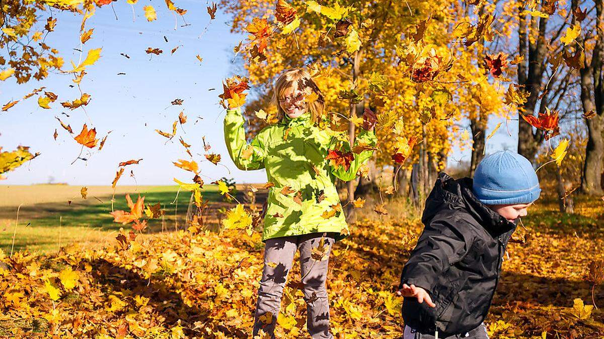 Der Wind weht die verfärbten Blätter von den Bäumen