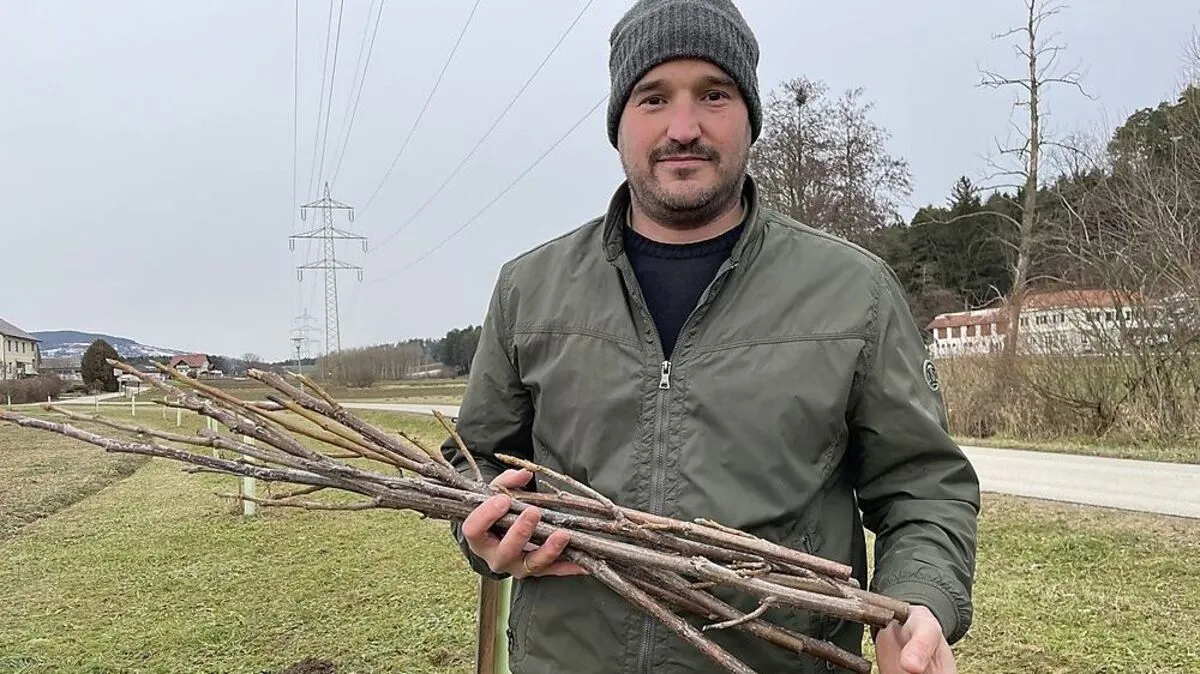 René Nöhrer versteht nicht, warum jemand seine Bäume umschneiden würde