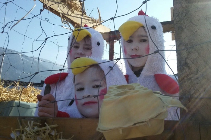 Neugierig recken diese komischen Vögel ihre Schnäbel aus dem Käfig.