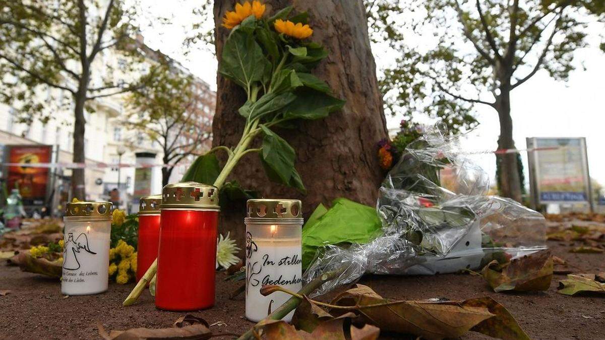 Hinter einem Baum am Schwedenplatz hatte Abu El Hosna Deckung vor dem islamistischen Attentäter gesucht – nun verhindern eingestellte Vorwürfe des Islamismus, dass er selbst Österreicher wird