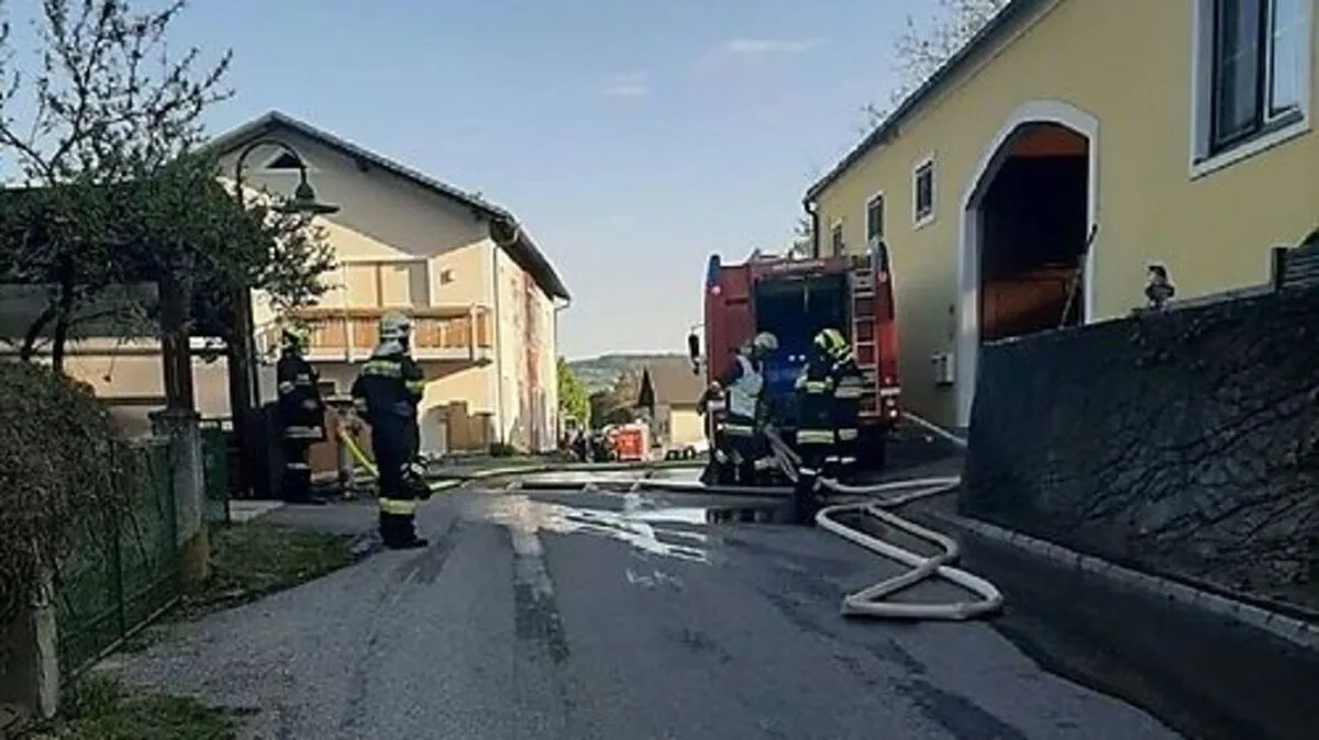 Bei einem Brand auf einem Bauernhof in Totzenbach in der Gemeinde Kirchstetten (Bezirk St. Pölten) sind am Samstagnachmittag acht Stiere verendet