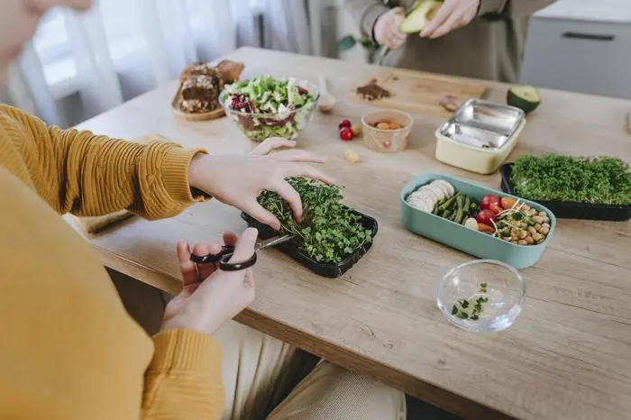 Woman cutting microgreen with scissors for lunch boxes model released, Symbolfoto property released, YTF01677