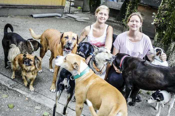 Die Pflegerinnen Bianca Leschanz (links) und Christina Adlassnigg betreuen die Hunde und sind für die Vergabe zuständig.