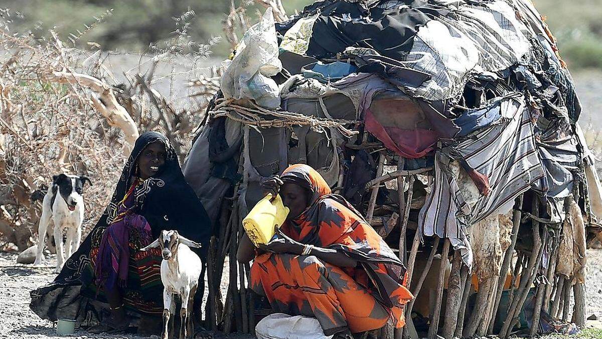  In Kenia haben mittlerweile 2,6 Millionen Menschen nicht genügend Nahrung und sind somit auf humanitäre Hilfe angewiesen. Rund 500.000 Kinder sind unterernährt