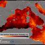 Die Wassertemperaturen im Mittelmeer und im Nordatlantik liegen heuer weit über dem langjährigen Mittel (Stand vom 13. Juli 2023)