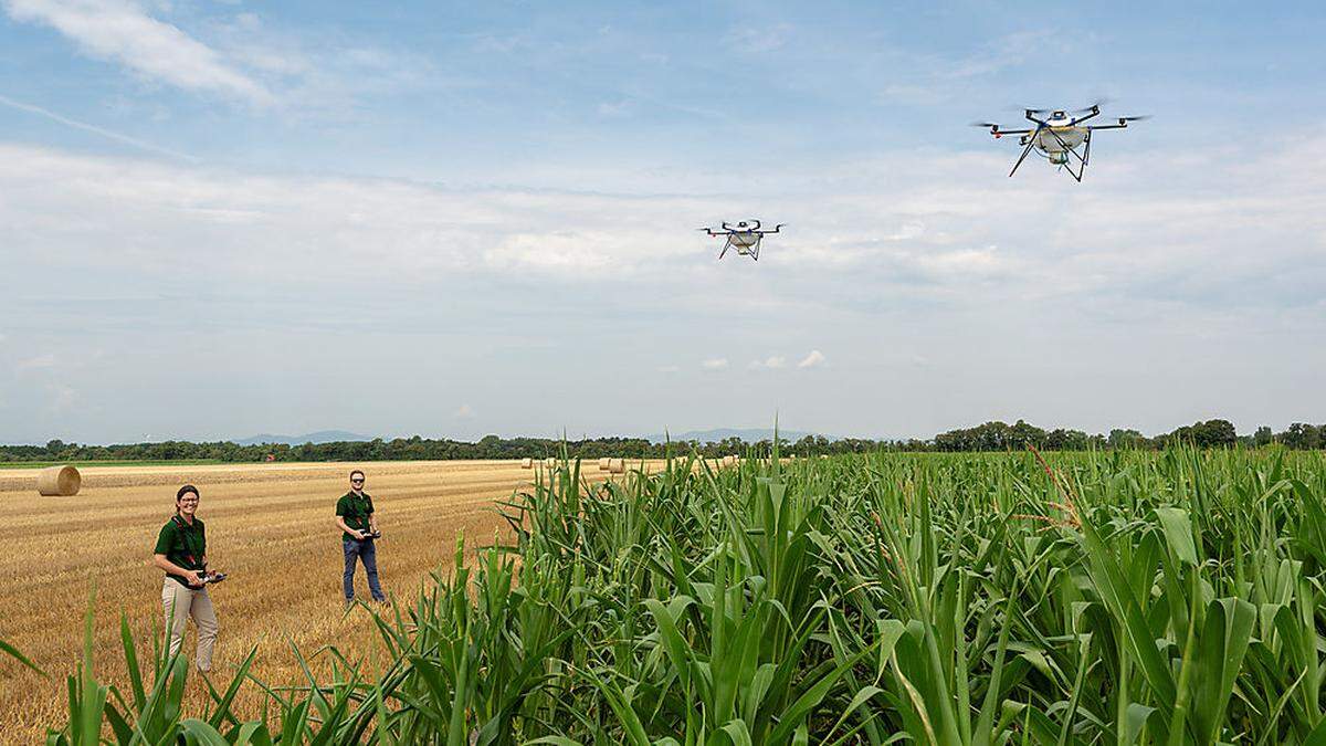 Drohnen über den Feldern sind bereits heute schon Realität