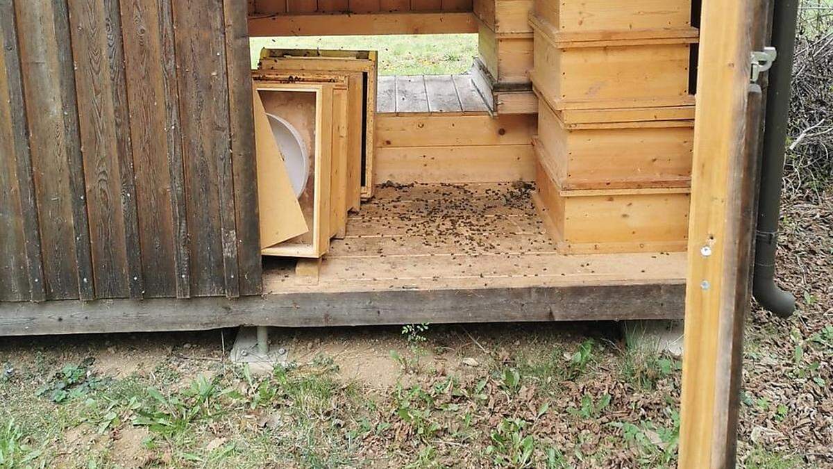 Vandalenakt beim Bienenlehrpfard im Naturparkzentrum Grottenhof