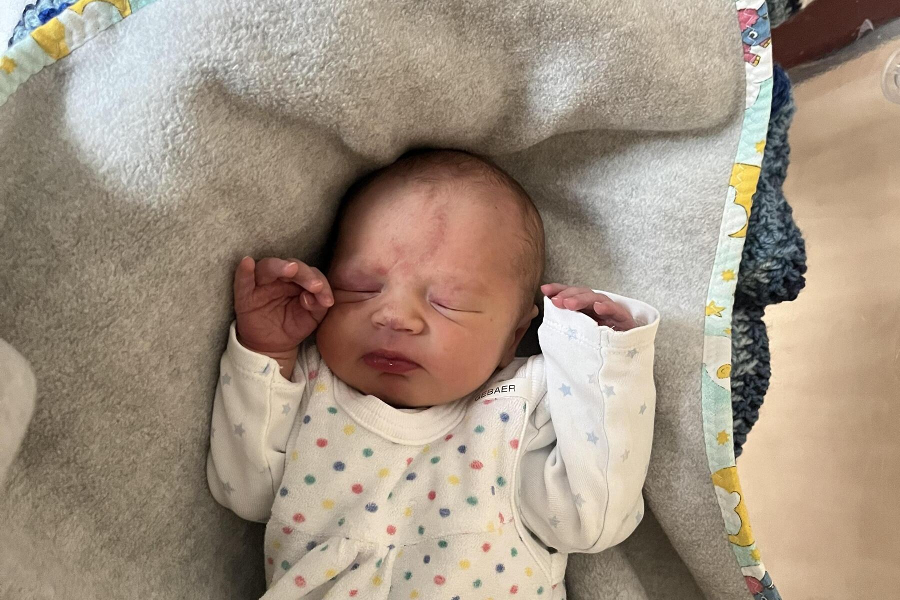 Babys: Sprösslinge aus dem Mürztal, Hurra wir sind da