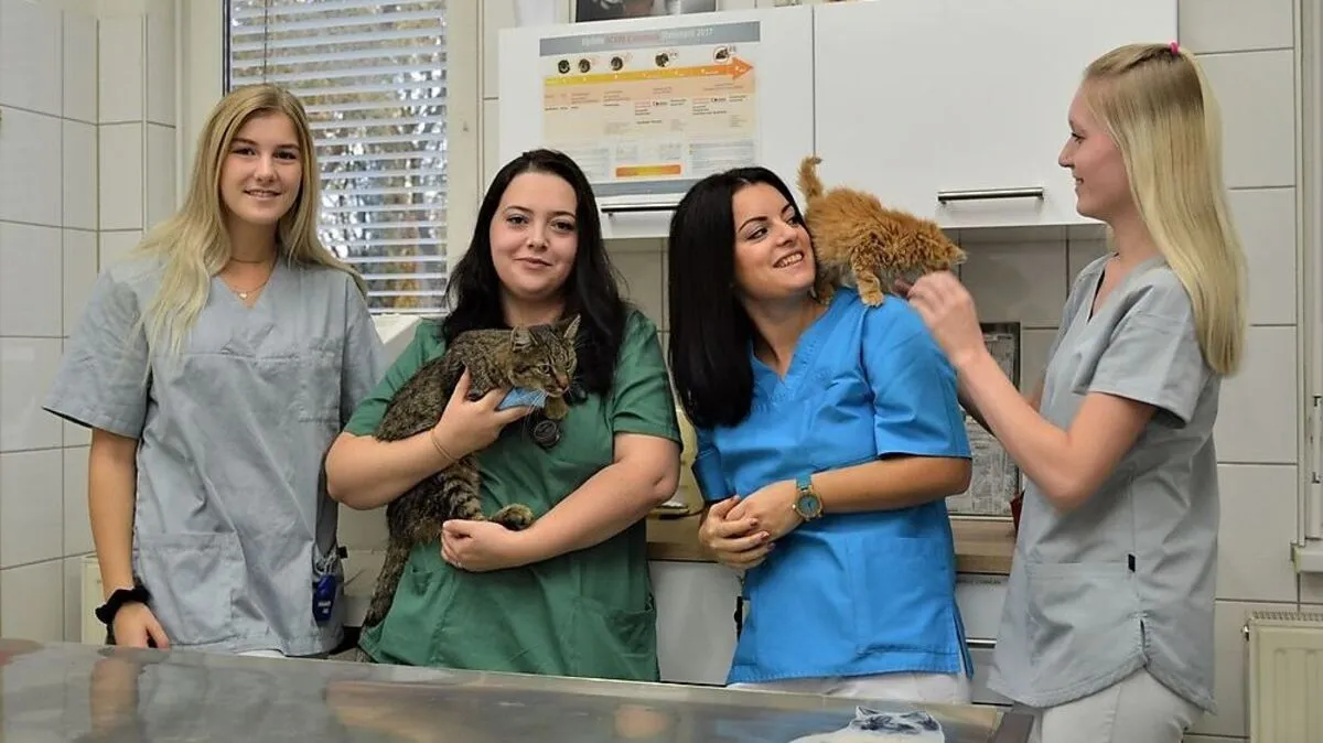 In der Tierarztpraxis: Sabrina Saiger, Alexandra Stefan, Alexandra Ionescu und Sandra Rösch